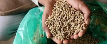 CAFÉ GRANO VERDE - Café Orgánico Comercio Justo